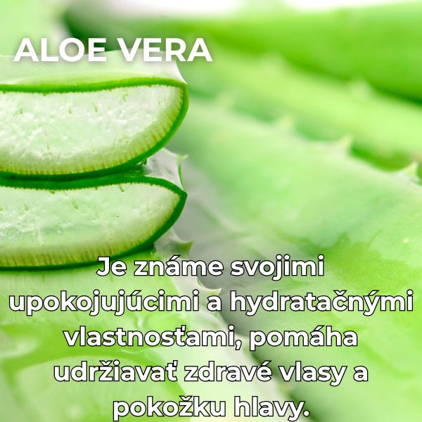 aloe vera na sampon